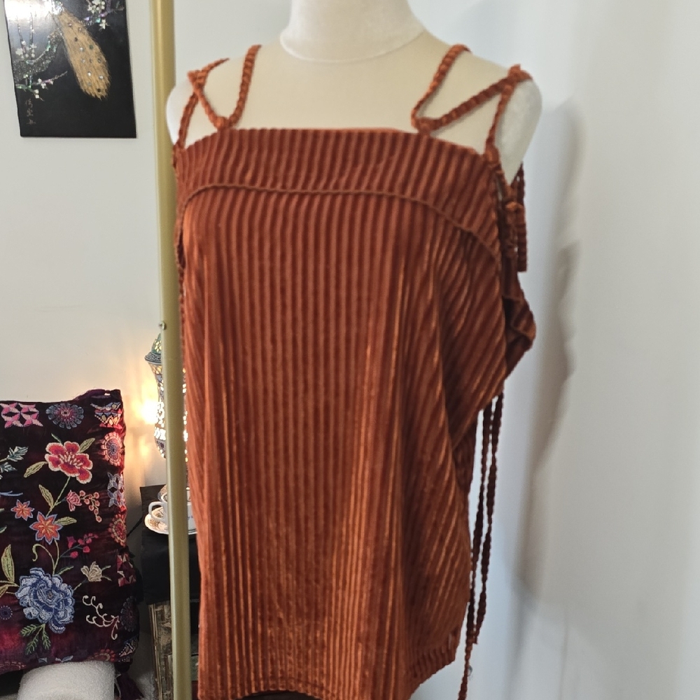 Entro Cinnamon Burnout Velvet Striped Strappy Off Shoulder Top